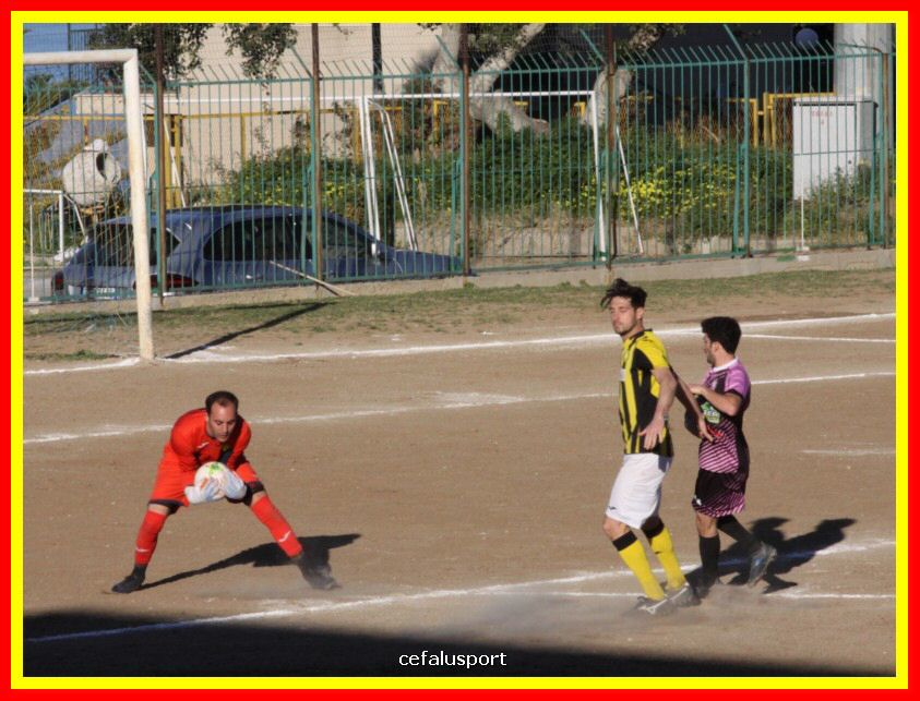 190310 Cephal_Torrenov 192_tn.jpg